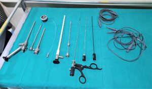 Brin endoscope